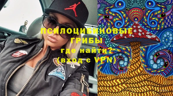 молекула духа Белоозёрский
