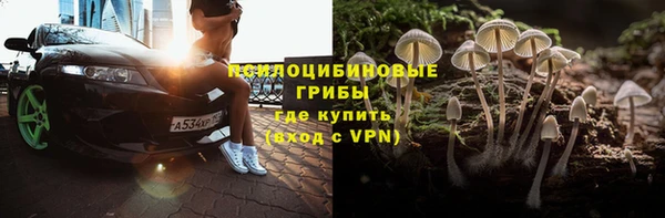 молекула духа Белоозёрский