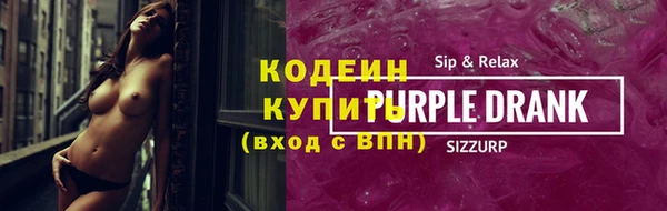мдпв Богородск