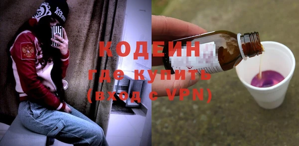 мдпв Богородск