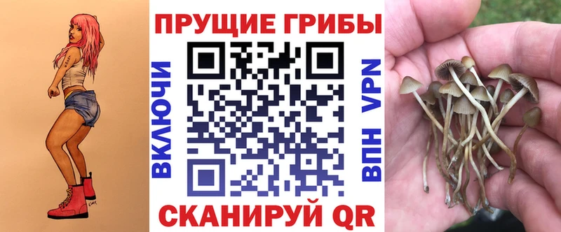 где купить наркотик  Воскресенск  Псилоцибиновые грибы прущие грибы 