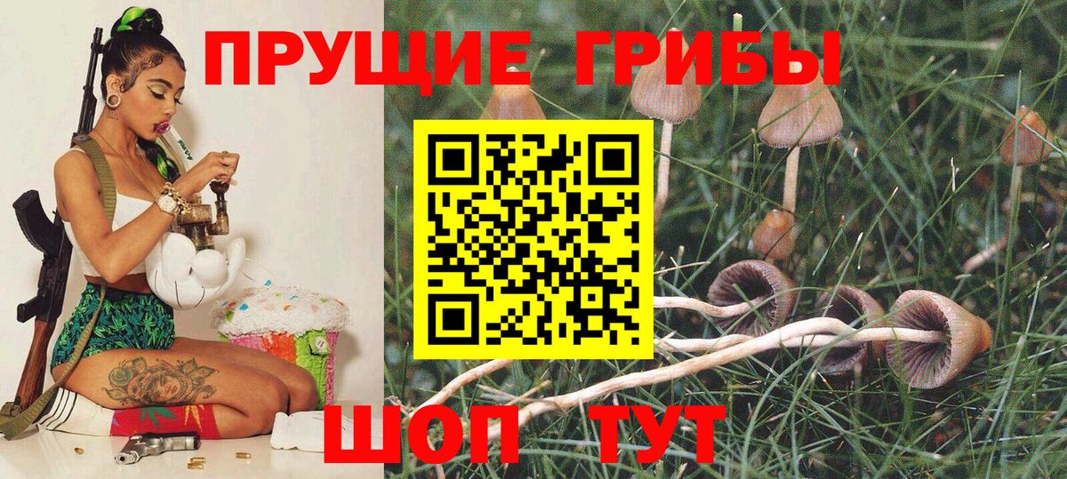 Псилоцибиновые грибы Cubensis  Вход с VPN  Воскресенск 